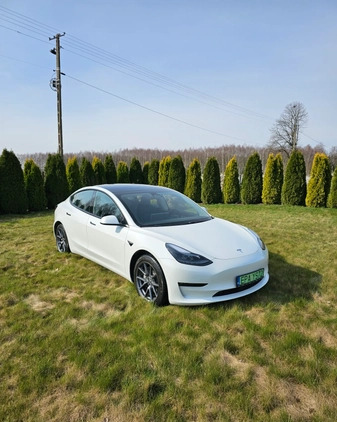 Tesla Model 3 cena 139000 przebieg: 19000, rok produkcji 2021 z Dąbrowa Tarnowska małe 121